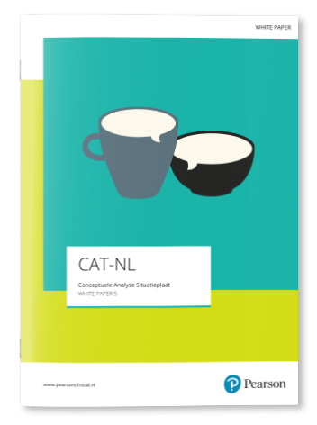 CAT-NL white paper 5 - Conceptuele Analyse Situatieplaat